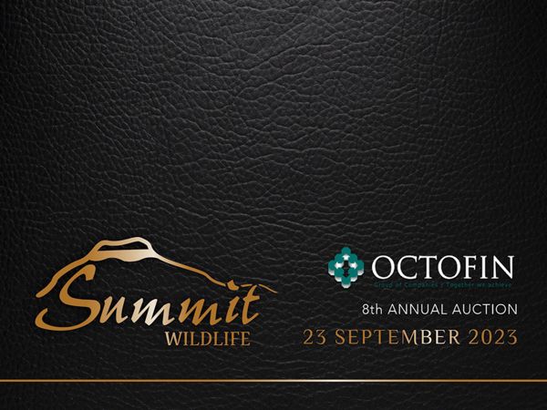 Summit Wildlife Live Auction 2023